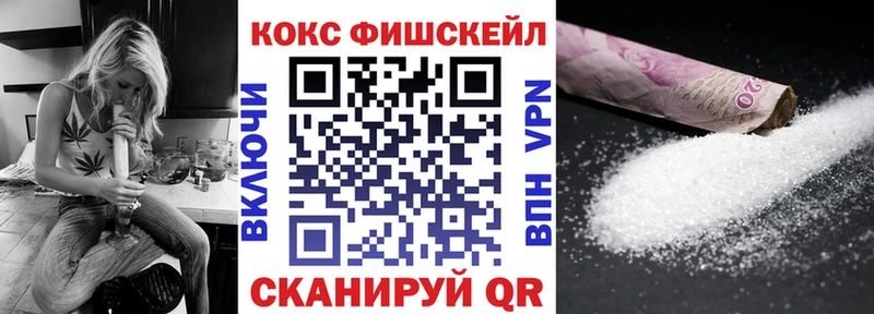 MEGA ТОР  Олёкминск  COCAIN Fish Scale  где можно купить  