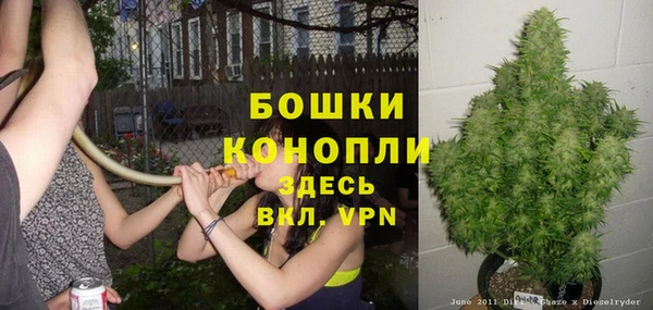 гидра Кодинск