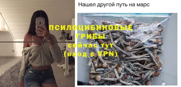 хмурый Горнозаводск