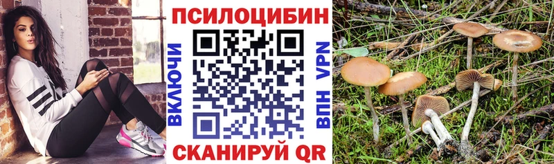 дарк нет телеграм  Олёкминск  Галлюциногенные грибы Psilocybe  где найти наркотики 